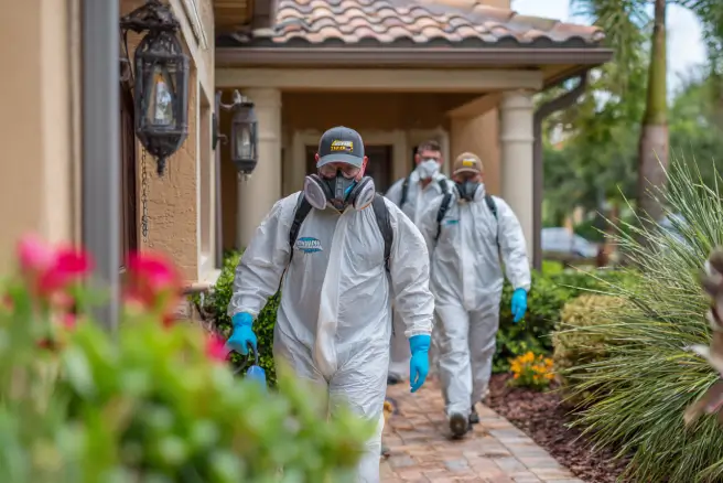 Vero Beach mold removal company